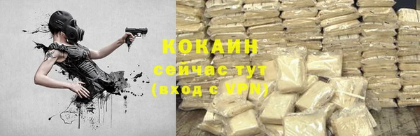 бошки Дрезна
