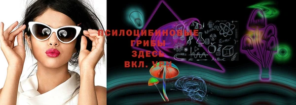 спайс Баксан