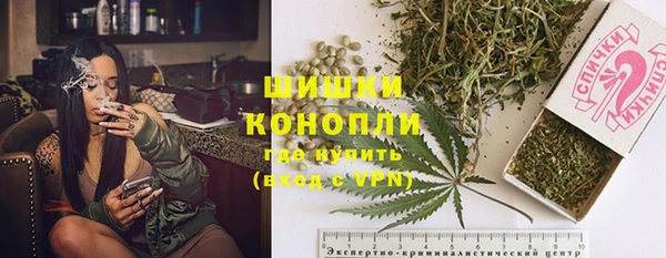 тгк Белокуриха