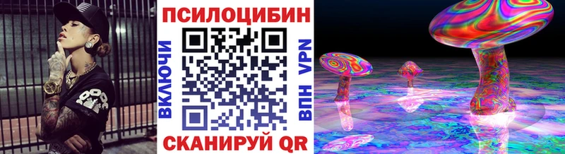 Псилоцибиновые грибы Psilocybe  купить  сайты  ссылка на мегу онион  Зима 