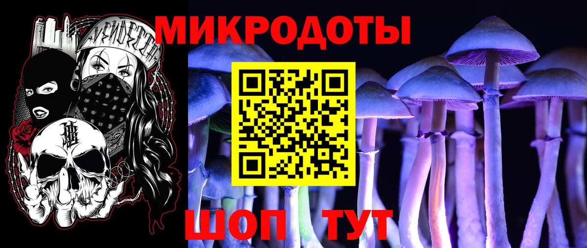 Галлюциногенные грибы мицелий  Вход с VPN  Зима 