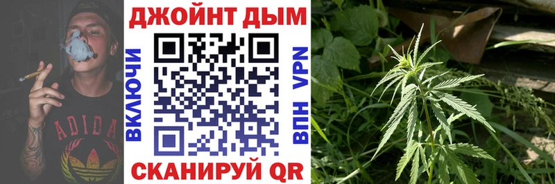 Конопля индика как найти закладки Зима
