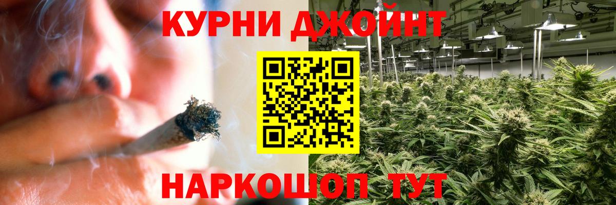 Конопля тримм  Канабис конопля  Марихуана семена  МАРИХУАНА сатива  Зима  Вход с VPN 